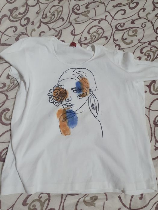 Haine pictate manual