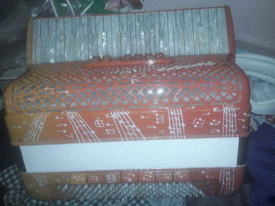 Vand acorden paolo professional cu 7 reg la basi 120 si 10 la clape