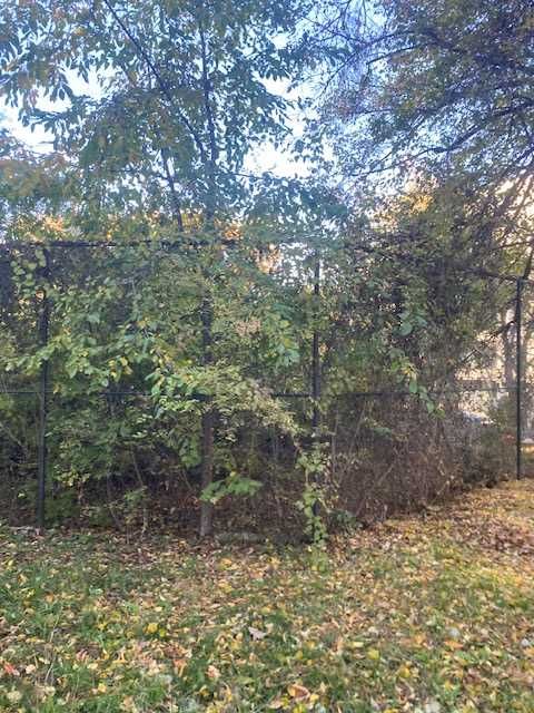 Дворове и парцели поддръжка - Рязане на храсти и дървета - Извозване