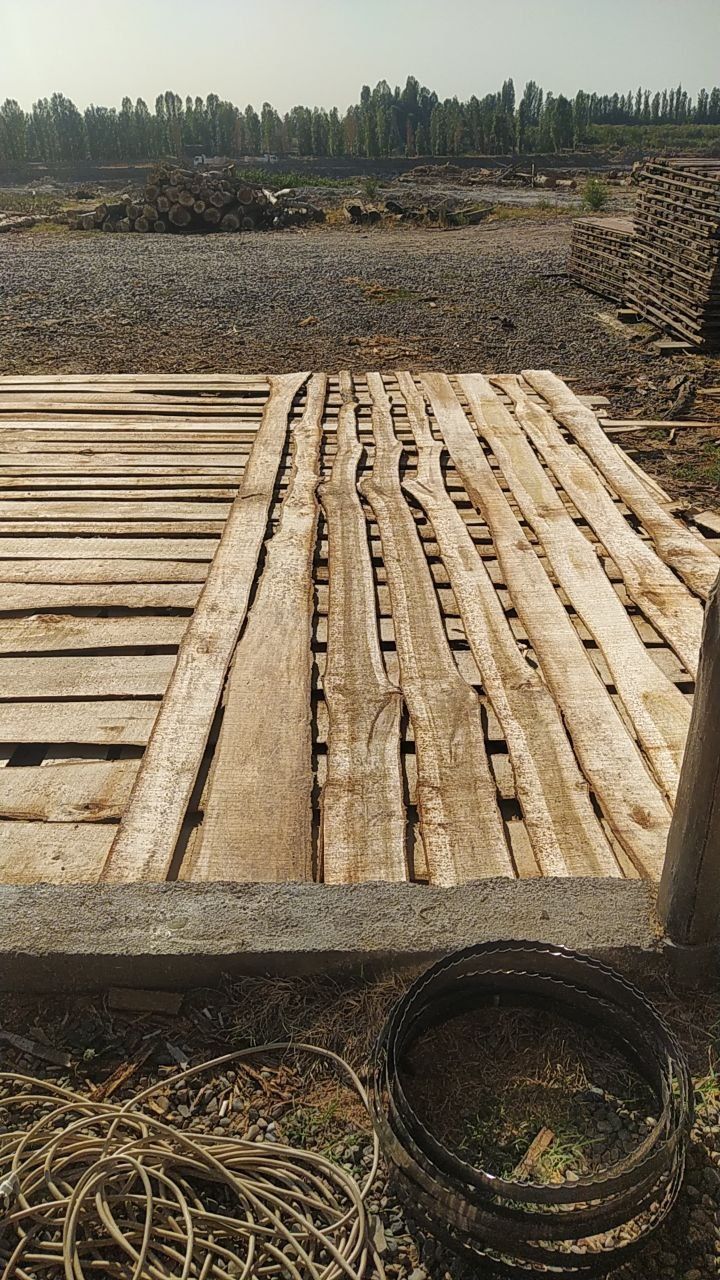 Tusin strapila chorni potolok pilorama xizmat