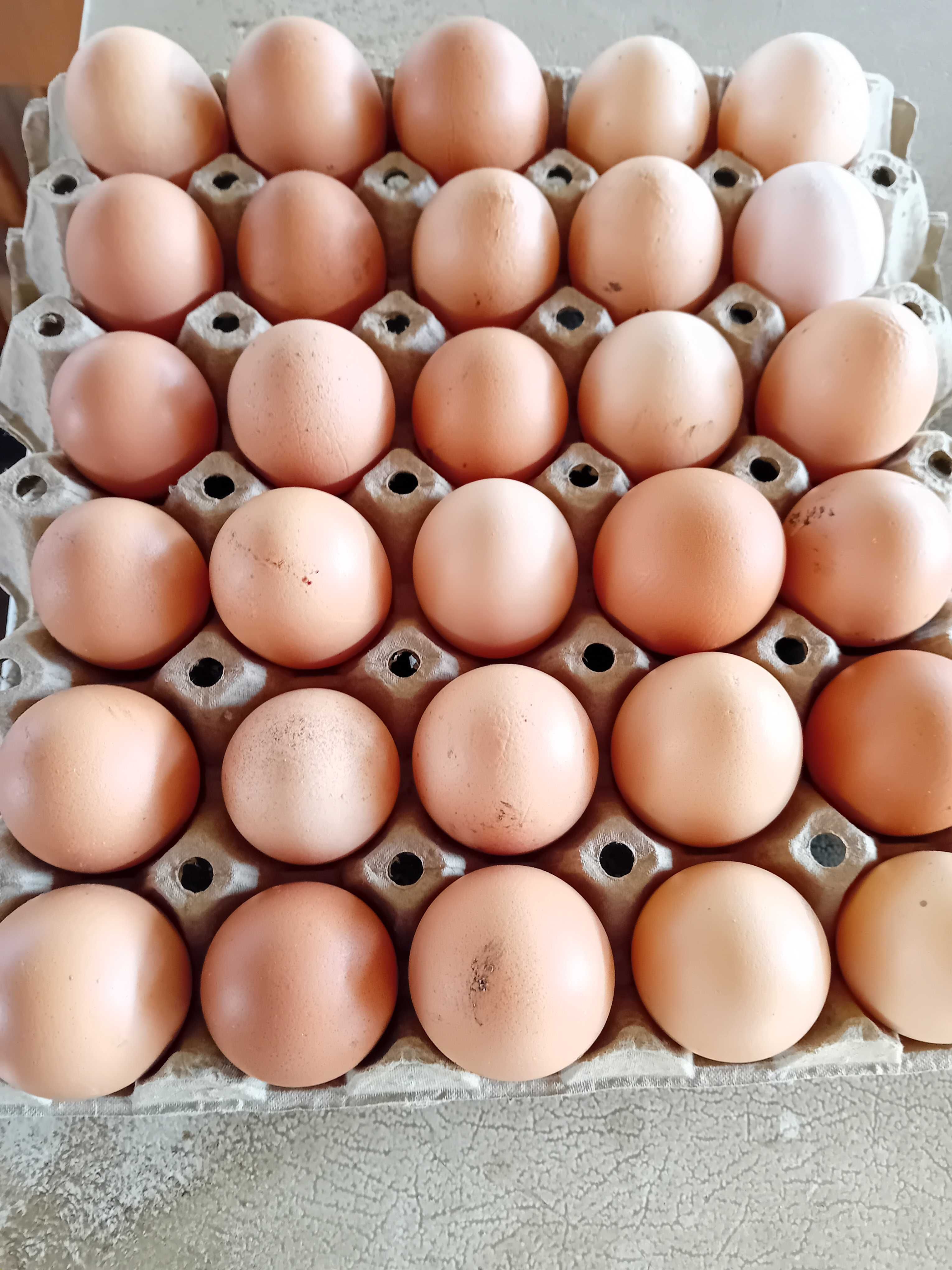 Продавам Домашни Яйца