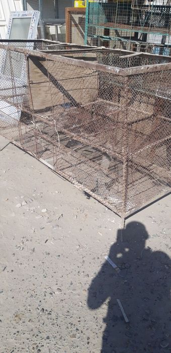 Tovuq Kataklar sotiladi.