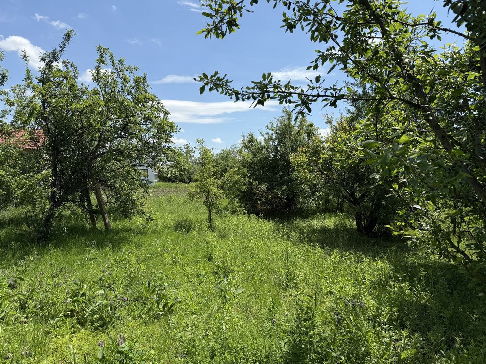 Ofer spre vânzare Casă P+M structură de lemn Strada Grădinarilor
