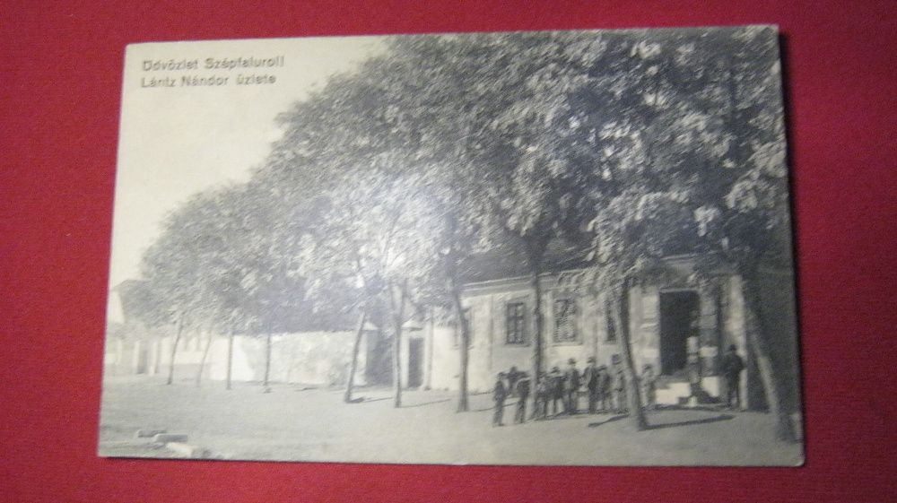Ilustrata veche,Carte Postala,Szepfalu(Frumuseni),Arad.