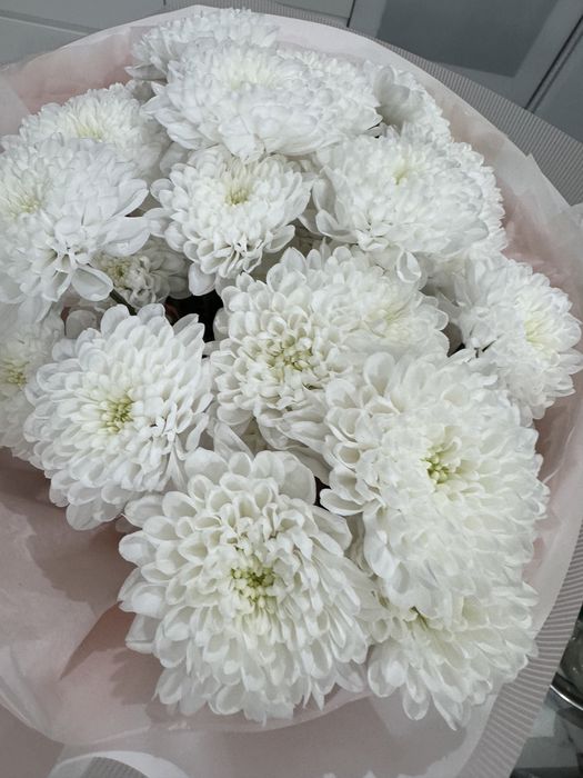 Свежие цветы,красивые,пушные