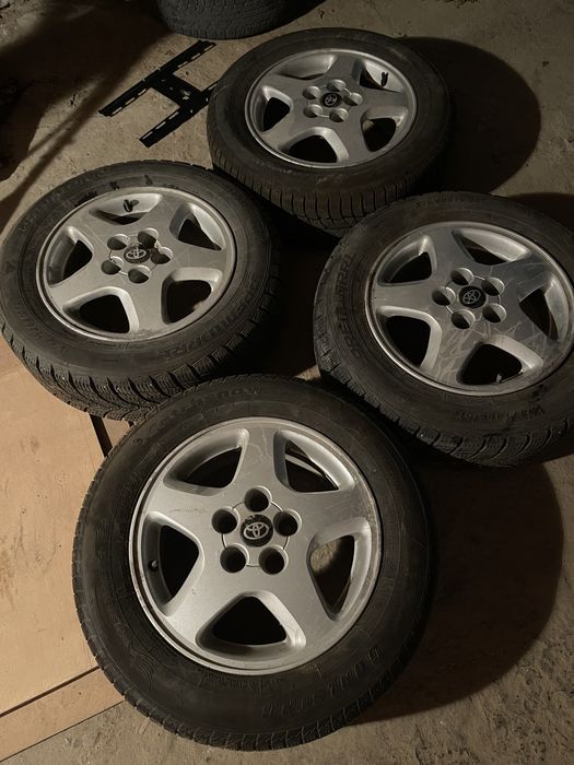 Zimni winalar jagdayi jaksi