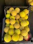 Vand mingi de tenis