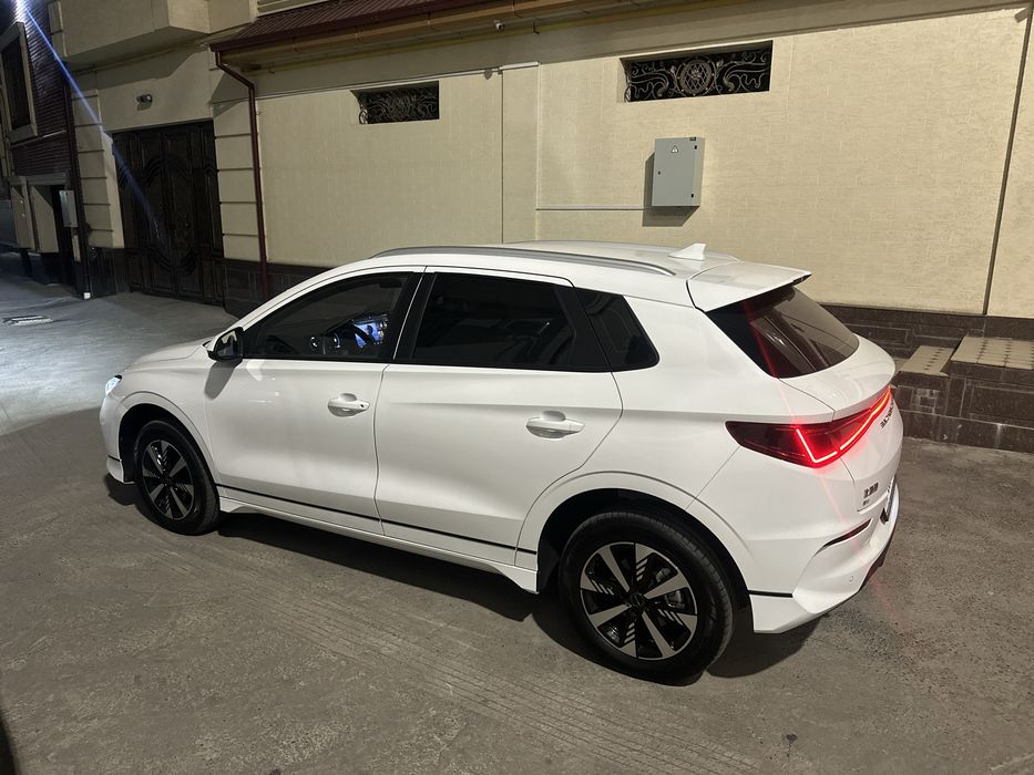 Byd e2 seagull leapmotor gac aion