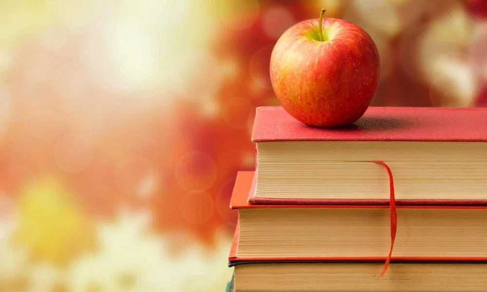 Meditatii limba si literatura romana- Evaluarea Nationala