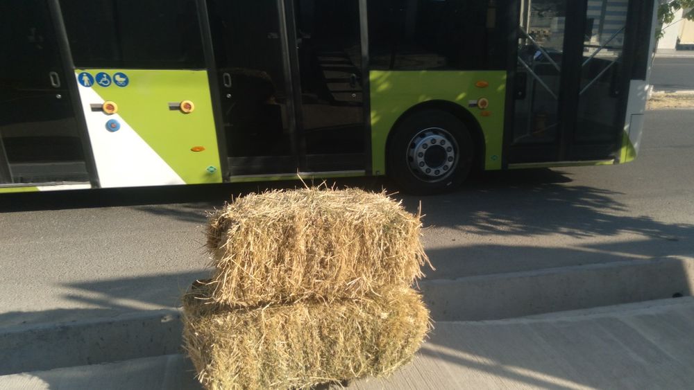 Xashak press sotildi