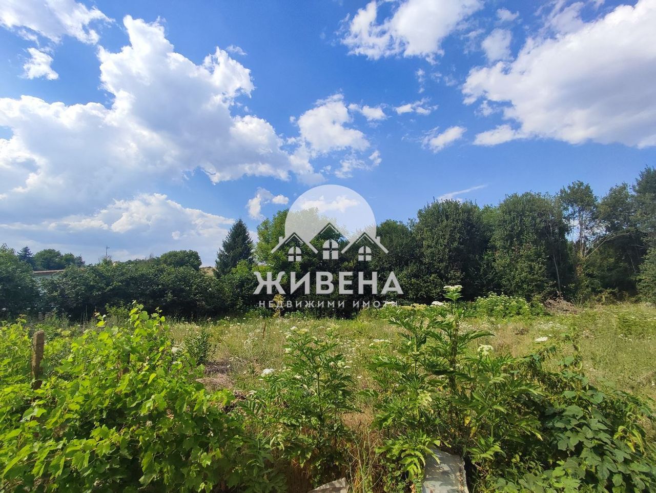 Продава се Парцел в с. Крумово, Област Варна - 1000 кв.м за 14 €/кв.м - Снимка #6