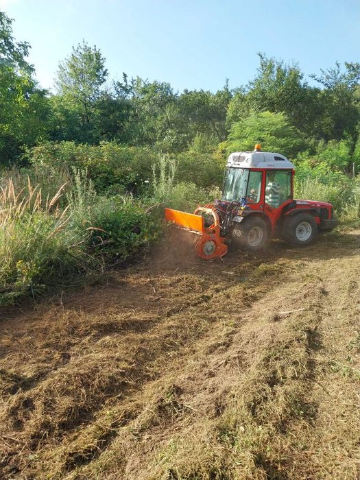 Curatare teren de vegetatie nedorita : arbusti, subarboret, ambrozie