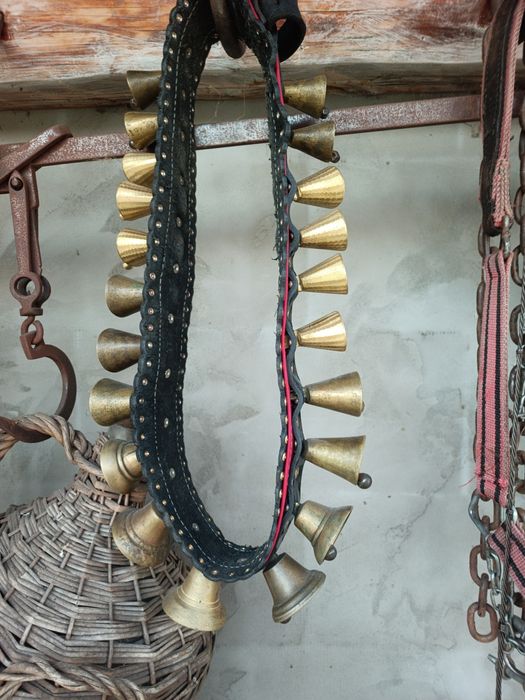 Centura zurgălăi