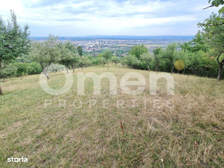 Teren de vânzare | Suprafață 10.040 mp | 2.500 € / ar | Strada Nucului