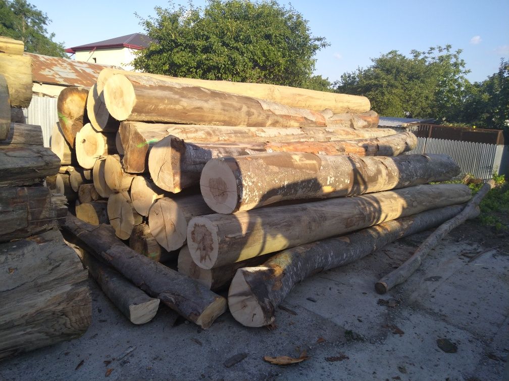 Lemn de Foc -buștean întreg, sau tăiat și crăpat