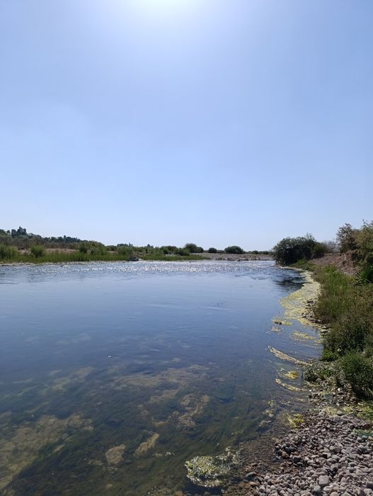 Земля на Ташморе вдоль реки