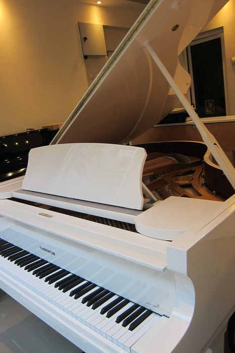 НОВ европейски роял W.HOFFMANN - T177 + C.Bechstein Connect