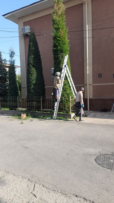 Archa kesish va Dorilash Mutaxassis.