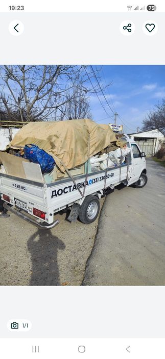 Вевоз мусир ситироя мусир