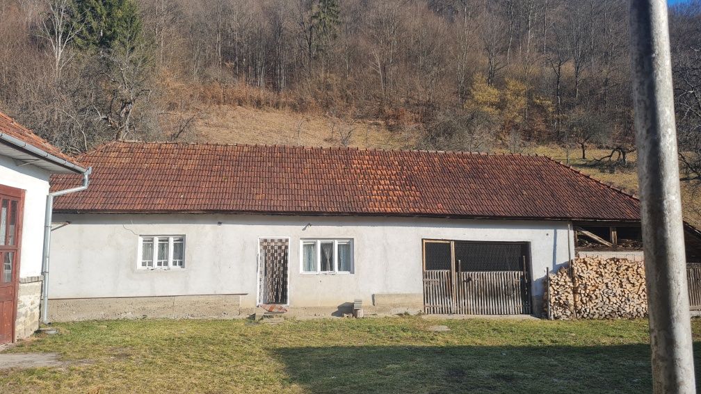 Vand casa in satul Lazuri