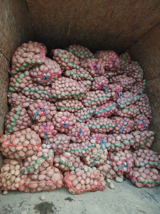 Cartofi consum calitatea 1 , cartofi mărunți 0,79lei/kg