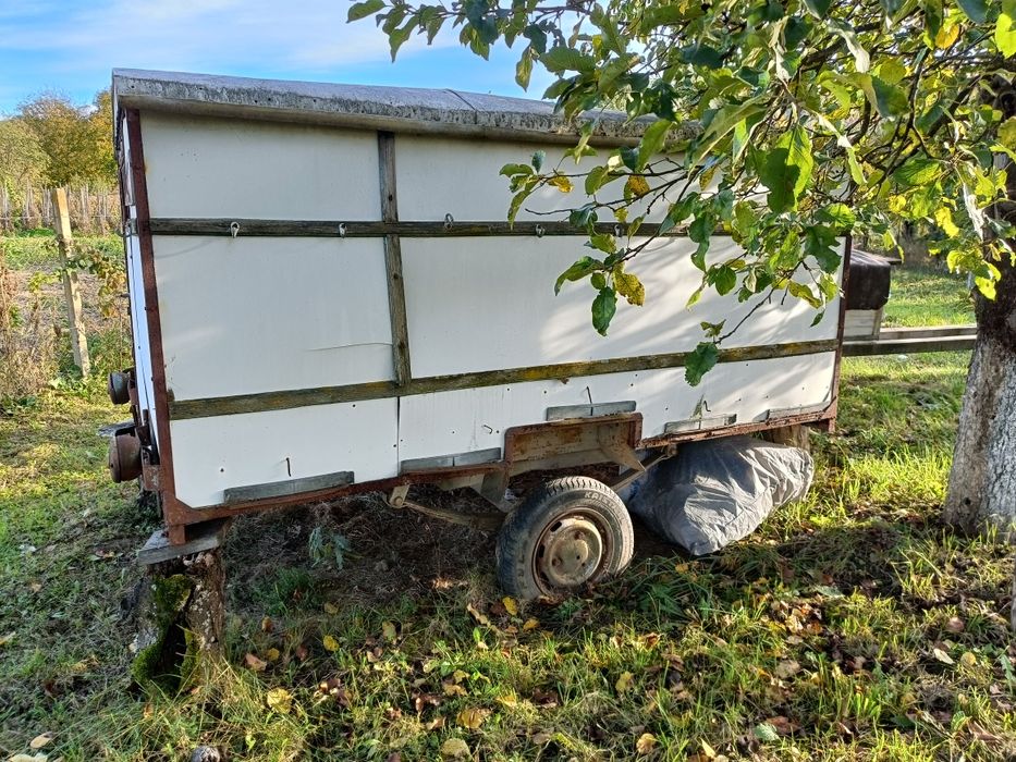 Pavilion Apicol - 10 stupi / 12 Rame