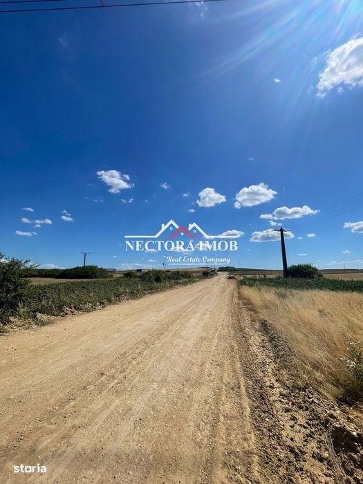 NECTORA IMOB-Teren Zona Osorhei, 5500 mp, 21 ml Front, 210 ml adancime
