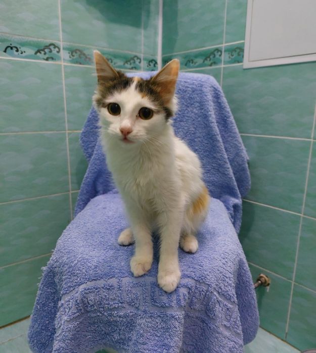 Девочка и мальчик ищет дом