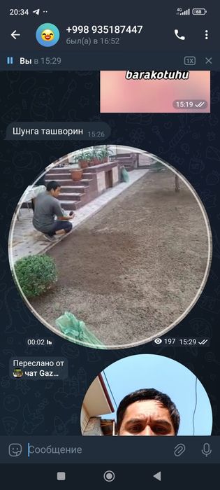 Bio gomus GAZON ekinlar uchun yovvoyi O'tlarsiz 1kg 900 so'm