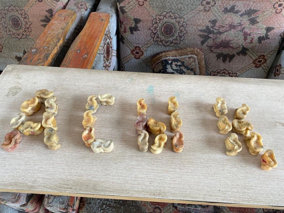 Қазақтың ұлттық ойыны асық