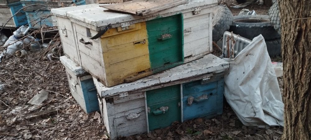 Улья 16ти рамочные