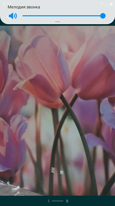 Клею обои. Побелка стен и потолков