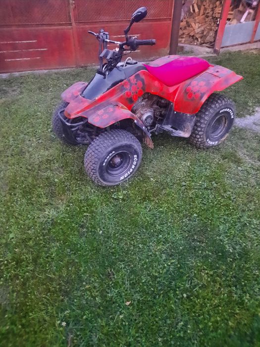 Suzuki quadrunner