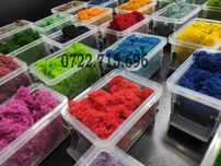 Licheni decorativi premium
