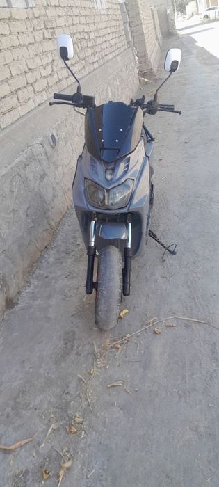 Wassat sport skuter 150 kubli rangi narda grey