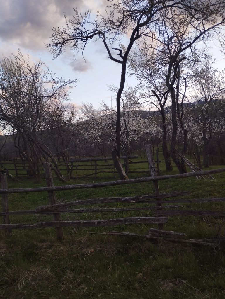 Vând teren intravilan în localitatea Valea Vadului jud.Cluj  com Iara