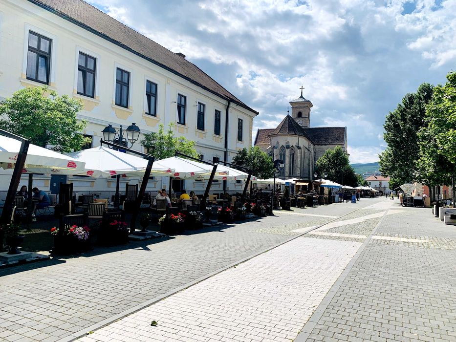 Teren de casă, pensiune, restaurant, birouri in Alba Iulia