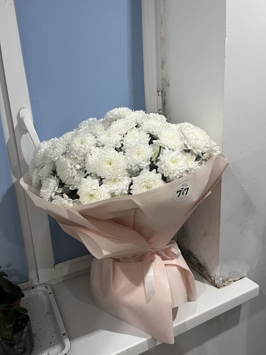 Цветы хризантема