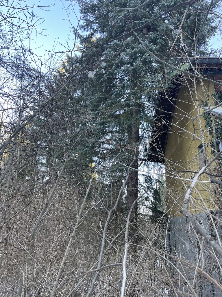 Продава се Къща в с. Свидня, Област София-област - 70 кв.м за 572 €/кв.м - Снимка #4