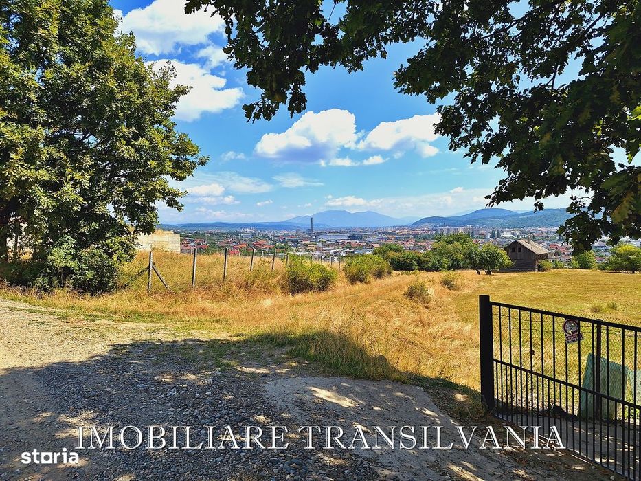 Teren intravilan, 1017 mp - str. Trifoiului, Bistrita