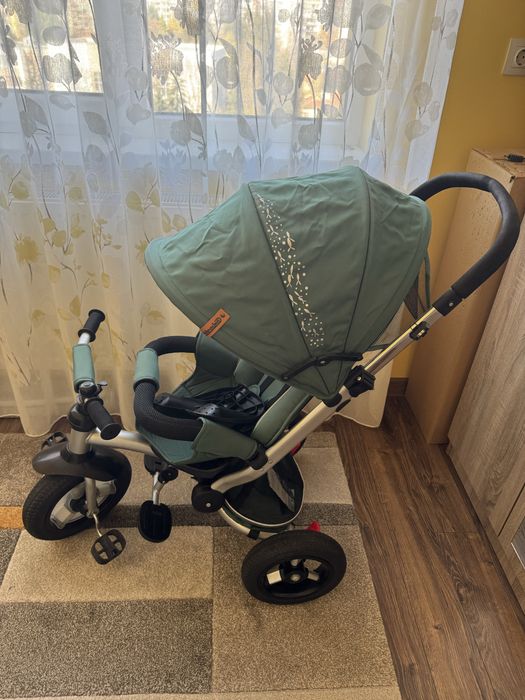 Триколка Chipolino