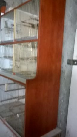 Colivii pentru păsări de apartament