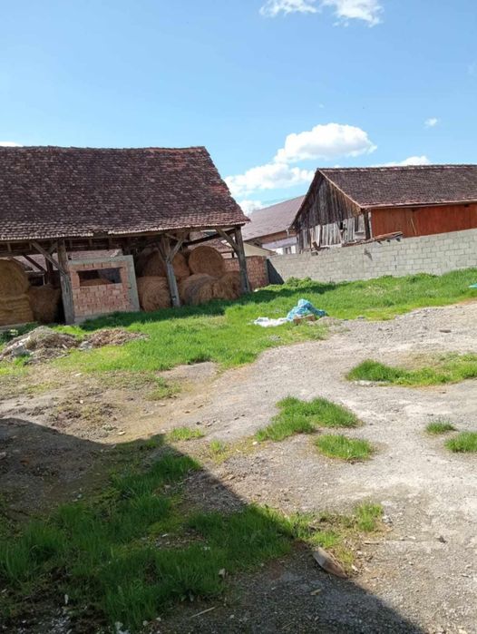 Vând casa în cincu