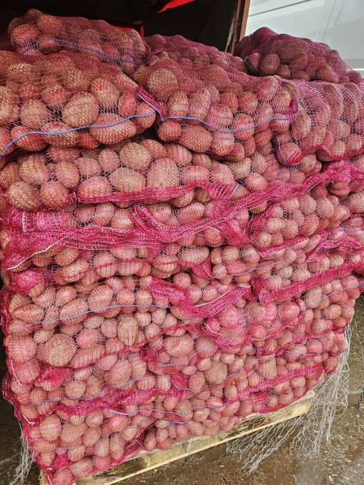 Oferim spre vânzare cartofi albi Cartof roșu, Mere ,pere ,varza Țelină