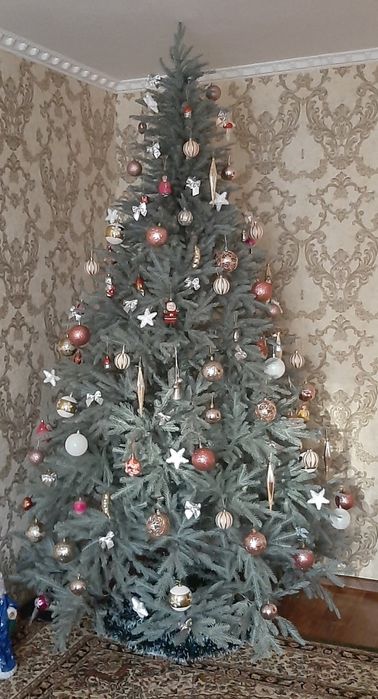 Продам  ,,Ёлки "