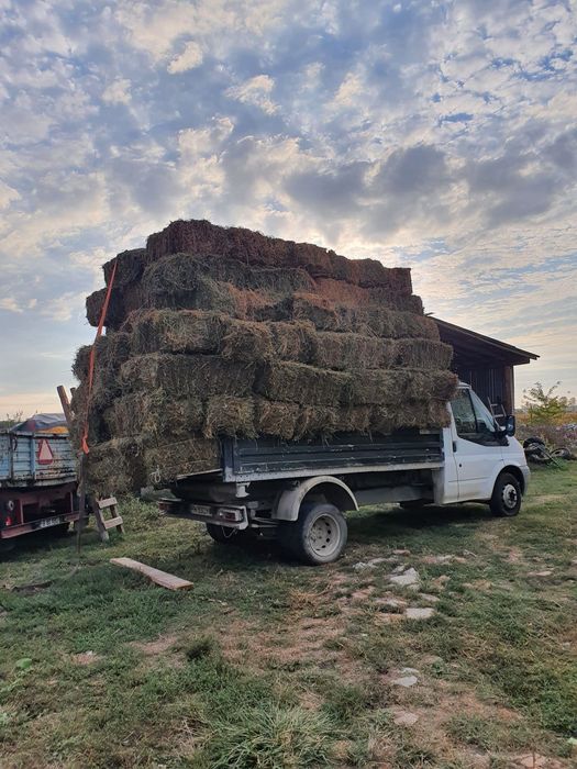 Ford transit basculabil