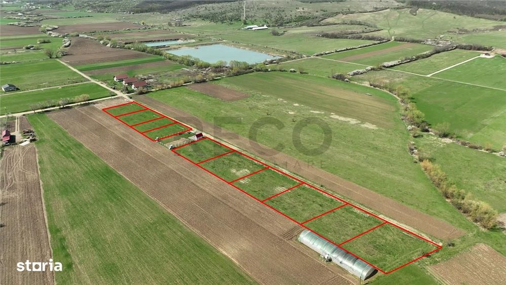 RECO, teren intravilan, Ineu,Bihor