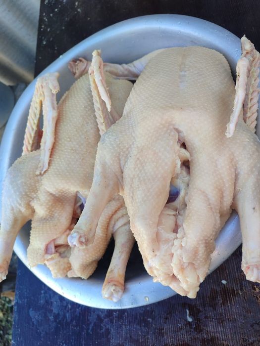 Домашние гуси к вашему столу