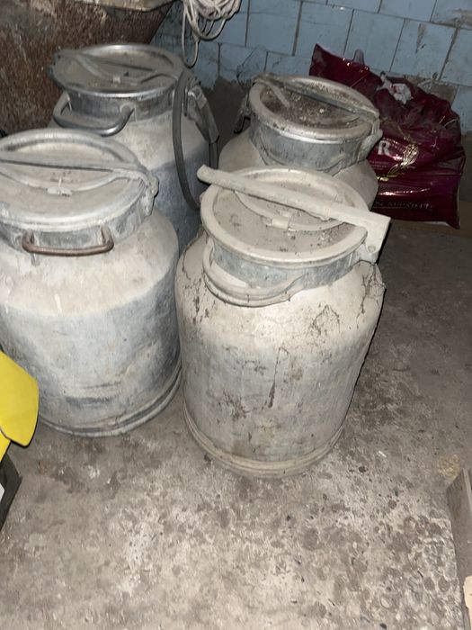 Фляга фляги пляга 1 штук 20 мын