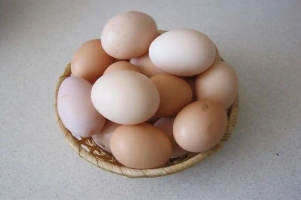 Продаю домашние яйца 600-700 тг майкудук